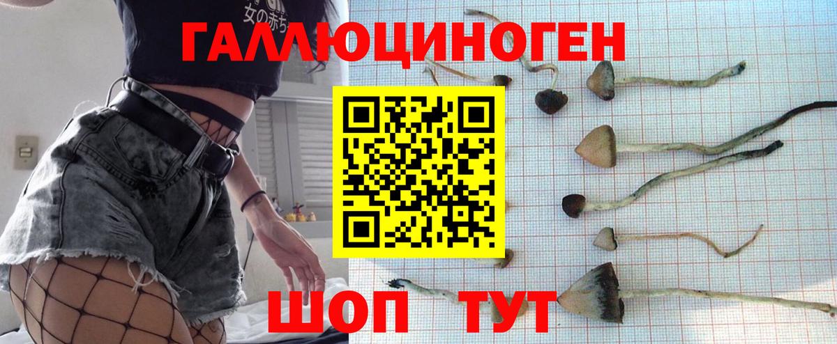 Галлюциногенные грибы GOLDEN TEACHER  Вход с VPN  Петрозаводск 